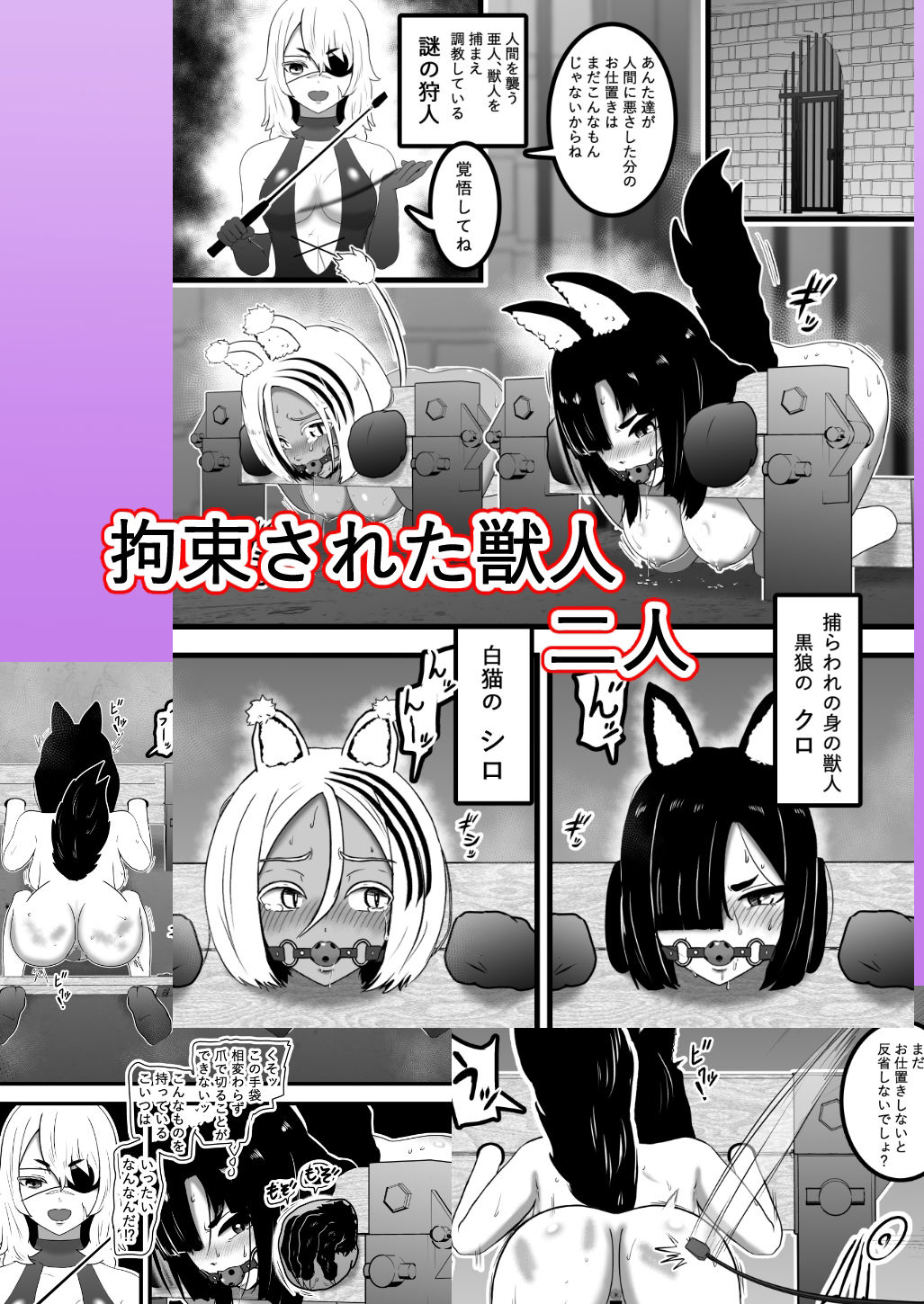 ヴァンパレイド8・5 〜白猫 黒狼 調教編〜 - サンプル画像 5