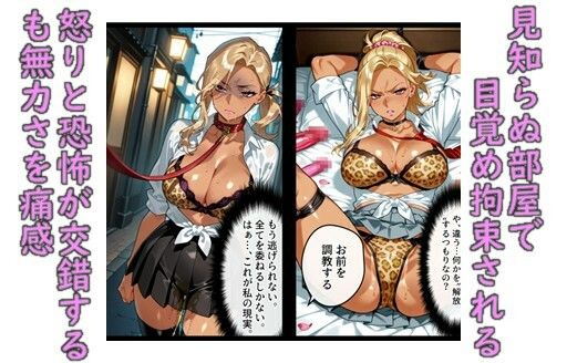 堕ち妻飼育  肉便器堕ちして飼育されていくギャル変装社長夫人 - サンプル画像 3