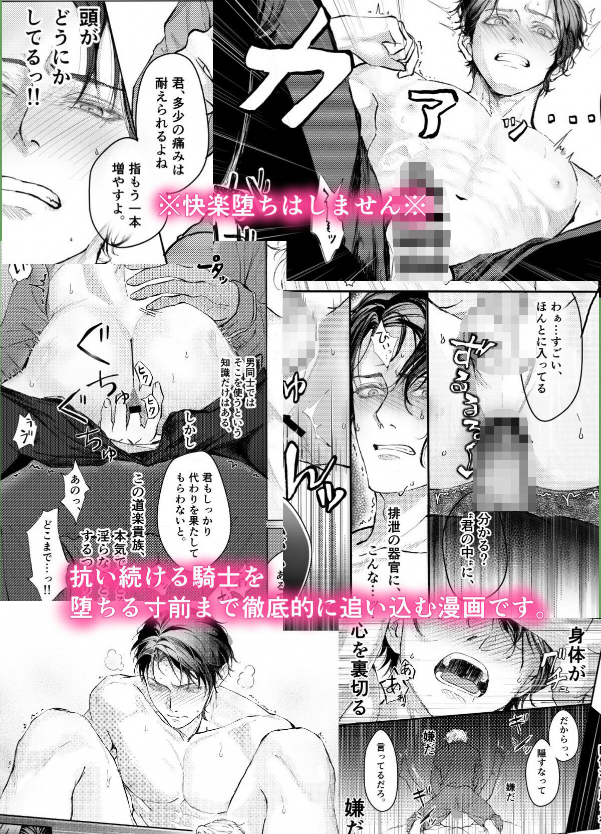 『貴方に従い、貴様に抗う。』〜絶対に堕ちない気高い剣聖が、交換条件で嫌いな主君に屈辱的に犯●れる漫画〜【初夜編】 - サンプル画像 7