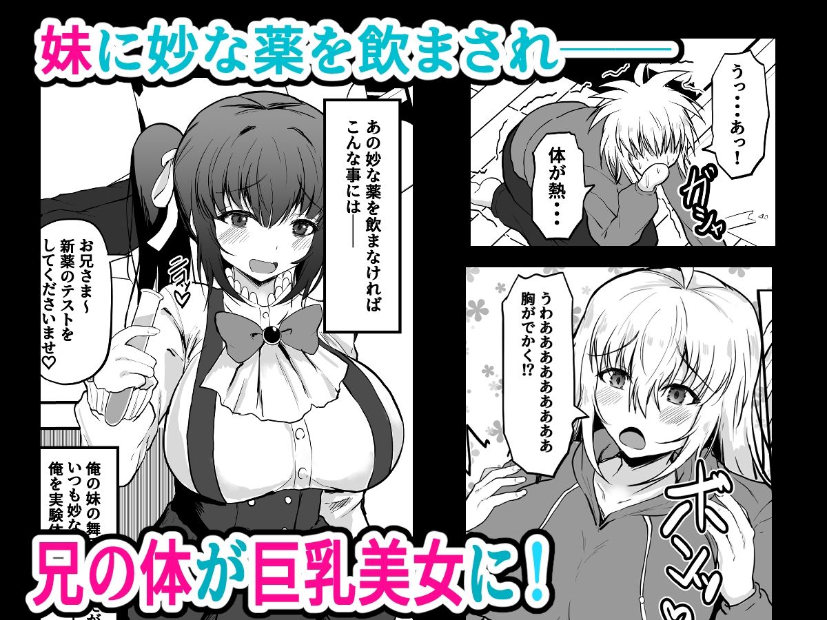 TS兄とフタナリ妹  妹のイチモツとペニスバンドで2本刺し - サンプル画像 1