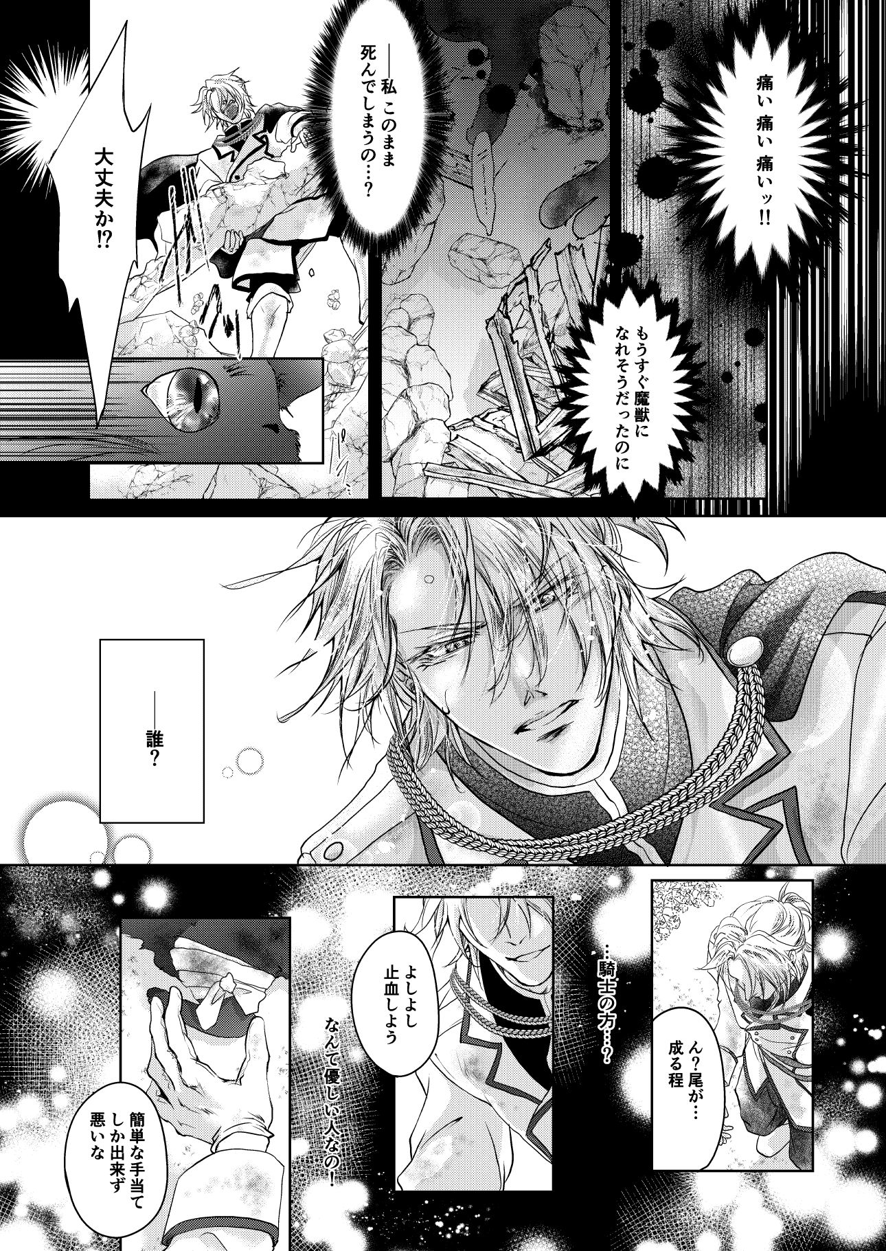 騎士様お慕いしております - サンプル画像 1