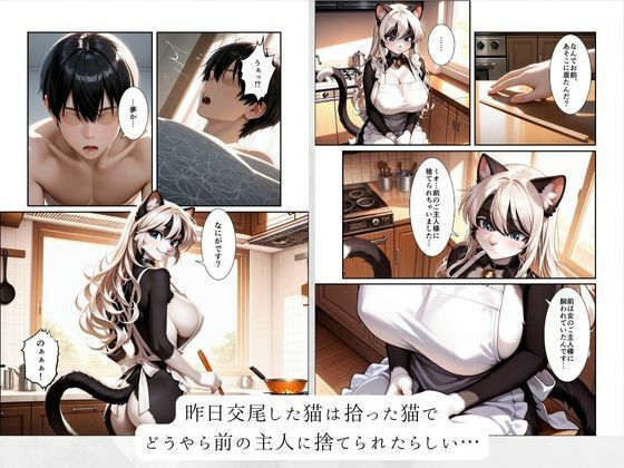 拾った猫が爆乳化け猫獣人で、毎晩えっちなおねだりが止まらない件 - サンプル画像 3