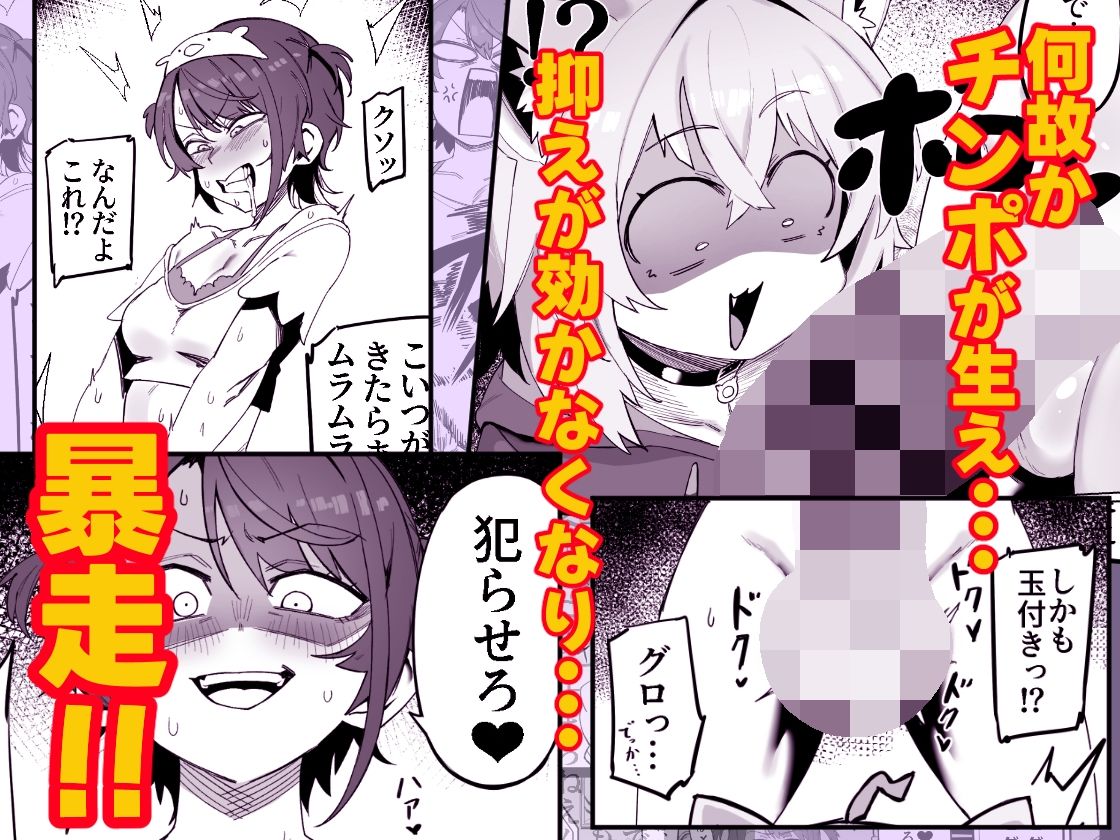 SOFS - サンプル画像 2