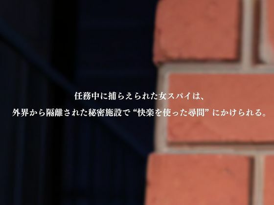 支配の尋問室  -女スパイ 人格崩壊-  結城〇柑 - サンプル画像 2