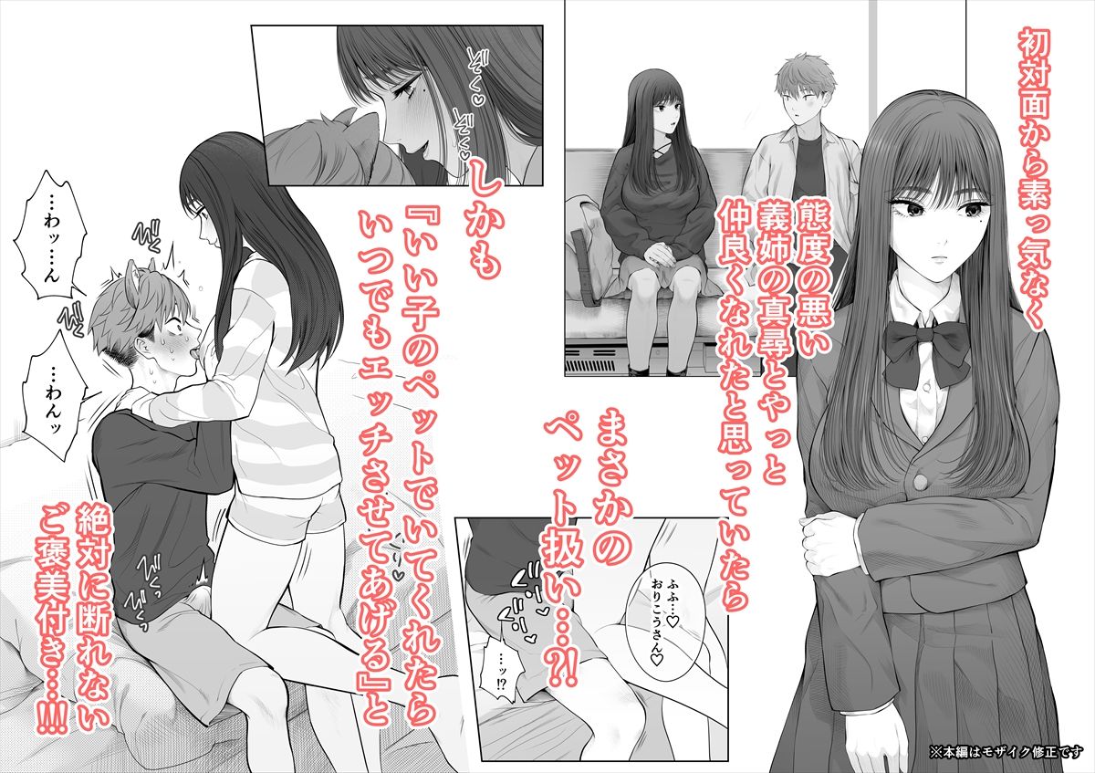 姉犬-義姉は家族でえっちなご主人様- - サンプル画像 2