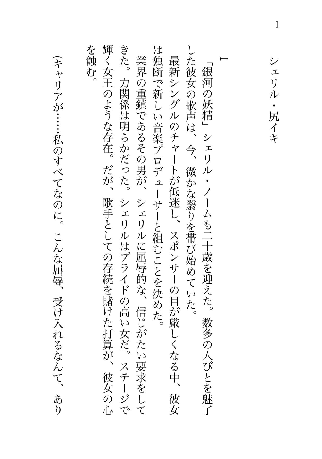 増補版  シェリル・ノーム  肉奴肛愛メモリアル - サンプル画像 10