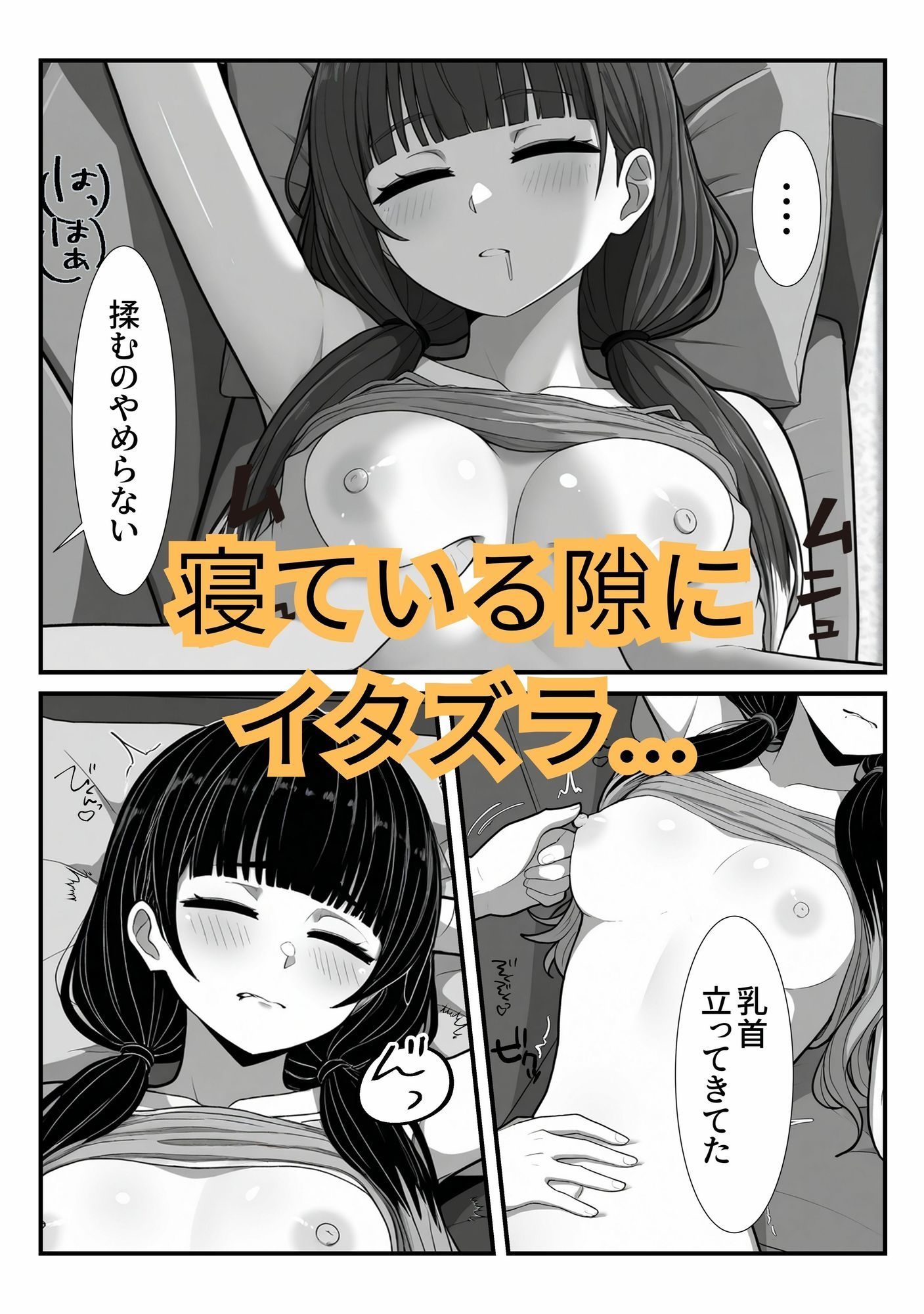 昼寝中の姉に手を出した - サンプル画像 1