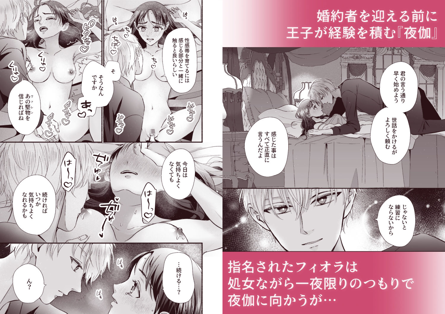 王子の夜伽は終わらない - サンプル画像 4