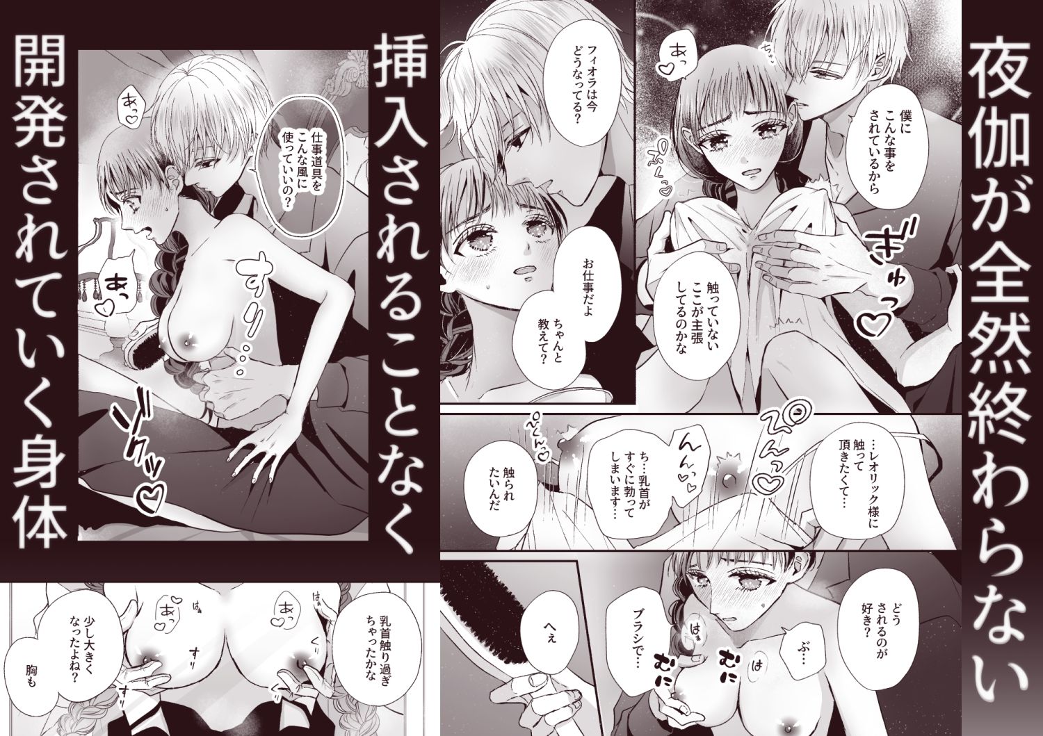 王子の夜伽は終わらない - サンプル画像 5