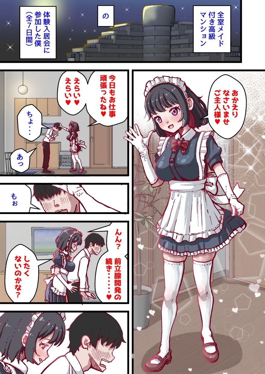 前立腺開発が上手なメイドさん付き賃貸 - サンプル画像 1