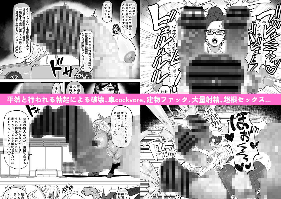 ふたなり特区調査報告書 - サンプル画像 2