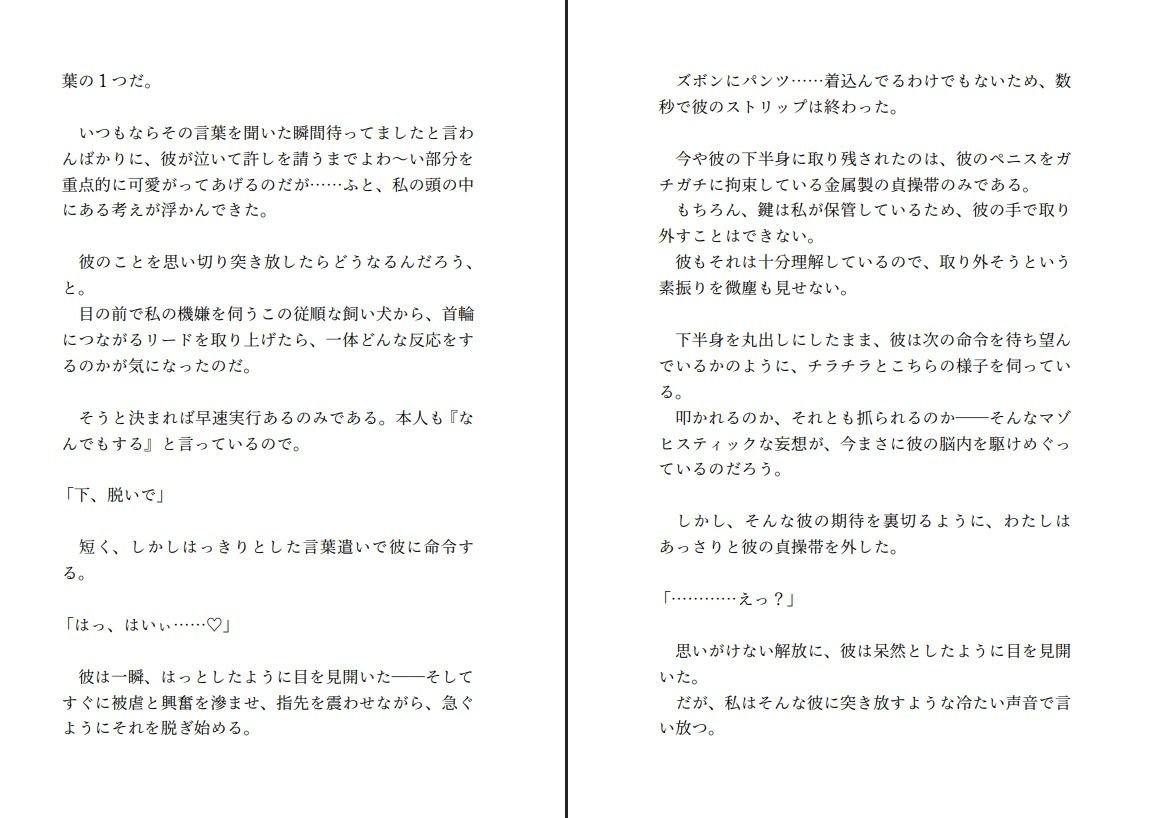 飼い犬系彼氏と喧嘩して仲直りする〜射精する権利を奪ってくださいと懇願する彼の望みが健気すぎたので射精できない彼をたくさんいじめてあげようと思います〜 - サンプル画像 2
