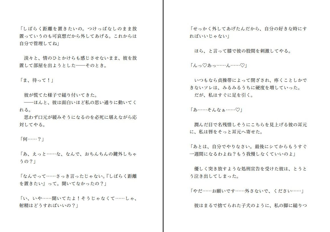 飼い犬系彼氏と喧嘩して仲直りする〜射精する権利を奪ってくださいと懇願する彼の望みが健気すぎたので射精できない彼をたくさんいじめてあげようと思います〜 - サンプル画像 3