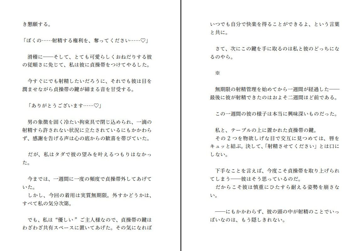 飼い犬系彼氏と喧嘩して仲直りする〜射精する権利を奪ってくださいと懇願する彼の望みが健気すぎたので射精できない彼をたくさんいじめてあげようと思います〜 - サンプル画像 4