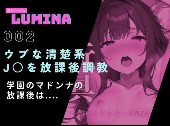 LUMINA 総集編 2025 冬 - サンプル画像 4