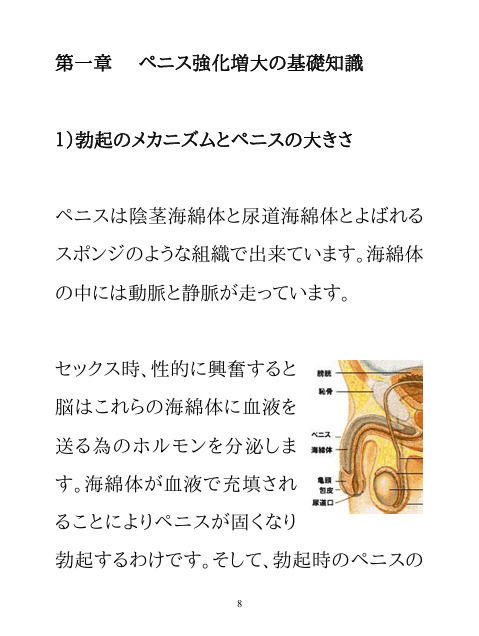 男のパワーアップ・トレーニング - サンプル画像 4