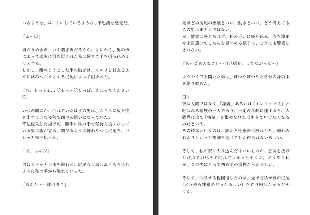 不法侵入したインキュバスから魔法のエログッズを貰ったので射精禁止した身体を弄んだあと強●射精させまくる話 - サンプル画像 2