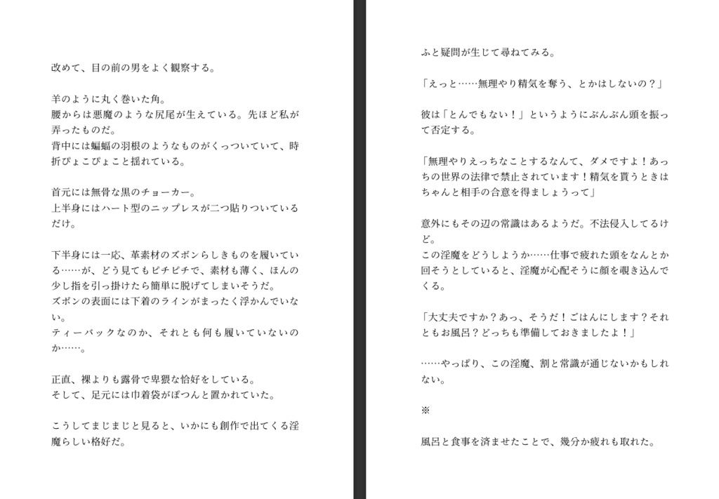 不法侵入したインキュバスから魔法のエログッズを貰ったので射精禁止した身体を弄んだあと強●射精させまくる話 - サンプル画像 3