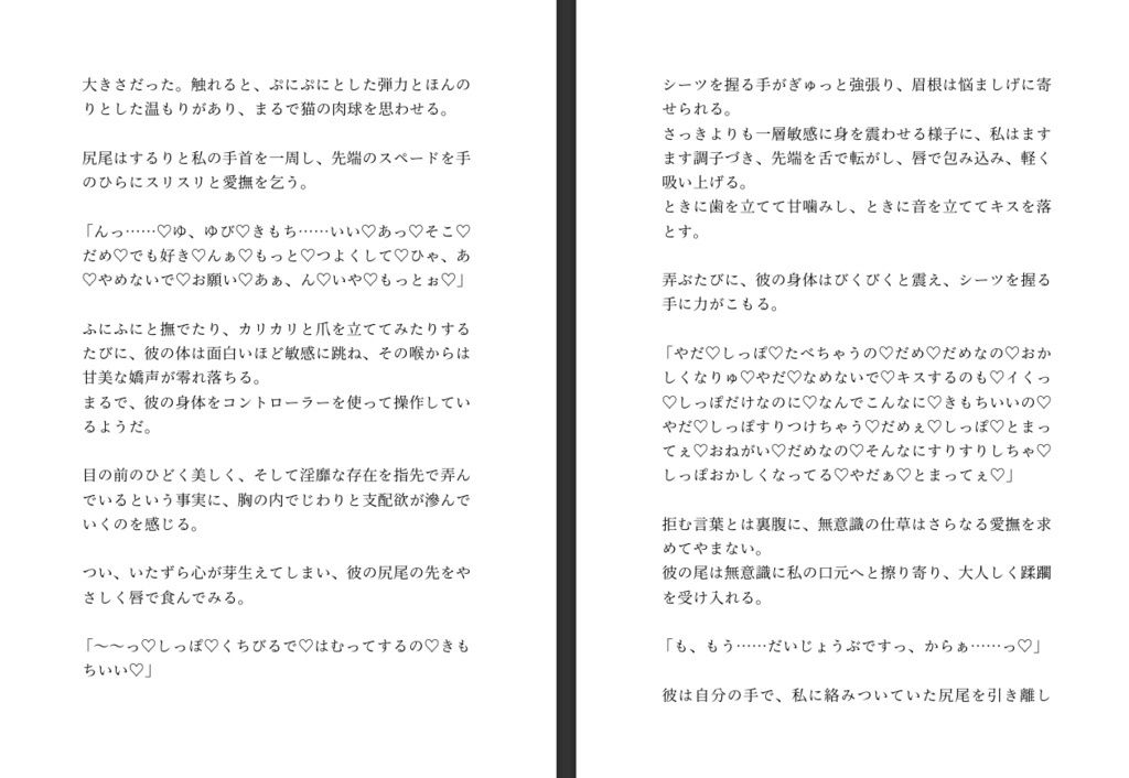不法侵入したインキュバスから魔法のエログッズを貰ったので射精禁止した身体を弄んだあと強●射精させまくる話 - サンプル画像 6