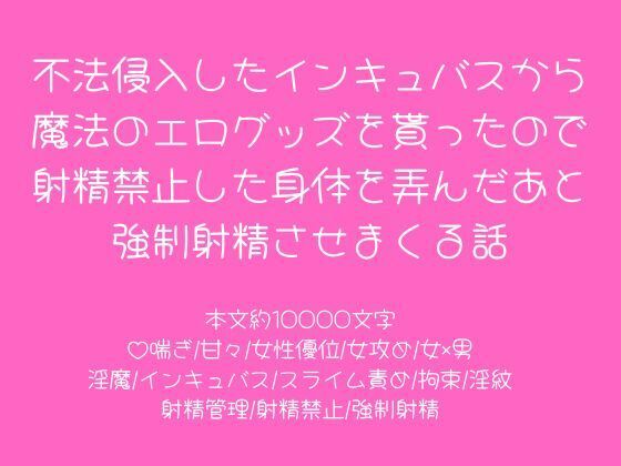 不法侵入したインキュバスから魔法のエログッズを貰ったので射精禁止した身体を弄んだあと強●射精させまくる話