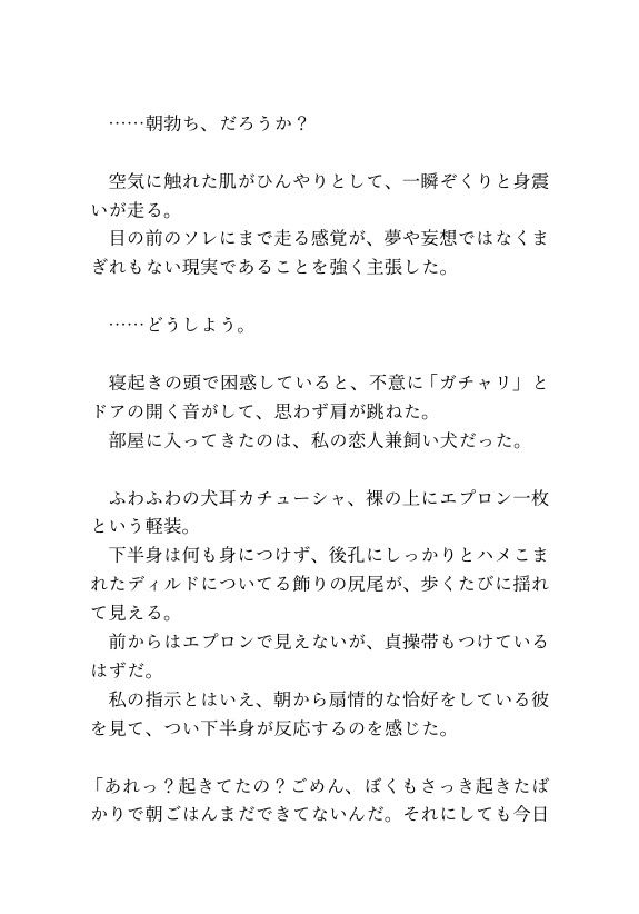 飼い犬系彼氏をふたなりちんぽで可愛がる - サンプル画像 2