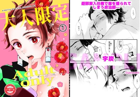 Adult only-大人限定1