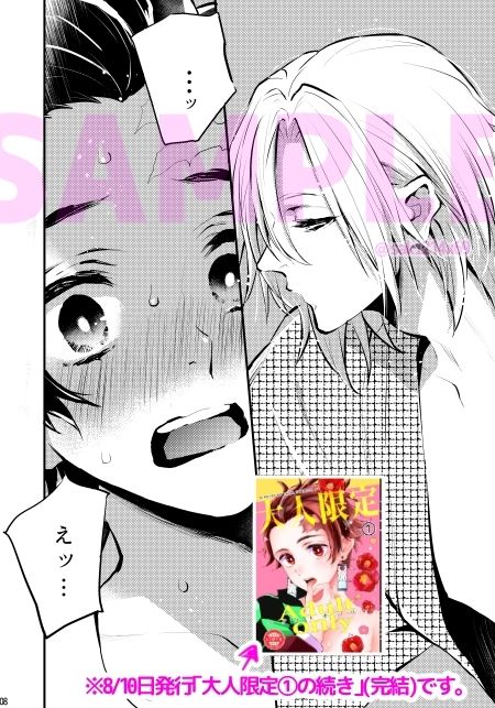 Adult only-大人限定2 - サンプル画像 1