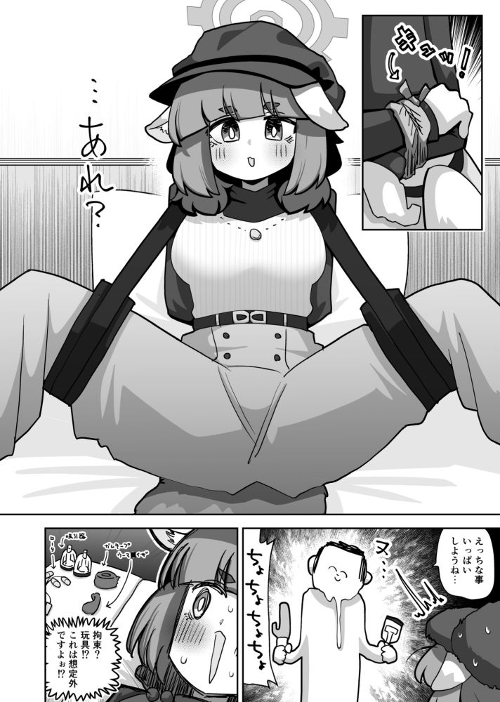 コンフィデンシャル・ビジネス・プラン - サンプル画像 1