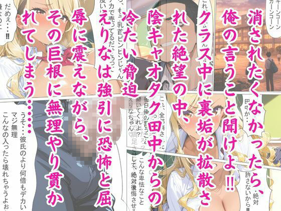 ビッチJK肉便器化計画 〜オタク巨根で寝取られ堕ち〜 - サンプル画像 2