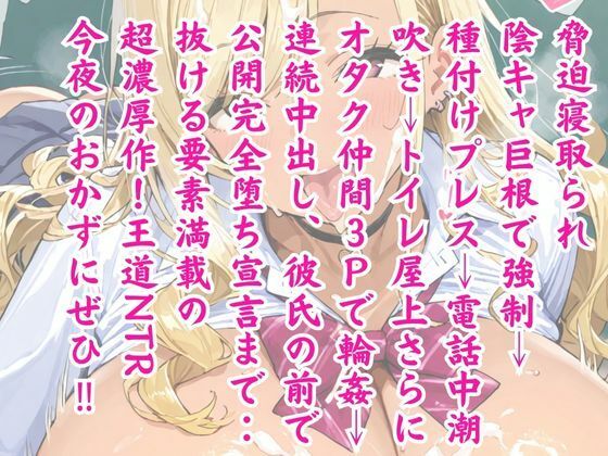 ビッチJK肉便器化計画 〜オタク巨根で寝取られ堕ち〜 - サンプル画像 5