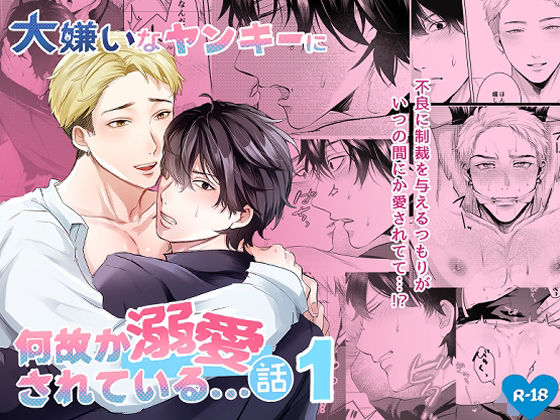 大嫌いなヤンキーに何故が溺愛されている…話