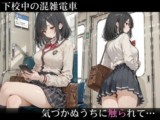 生意気そうな黒髪ショートJKが満員電車で雌の顔に… 声を出せない状況で執拗に中出し種付け - サンプル画像 2