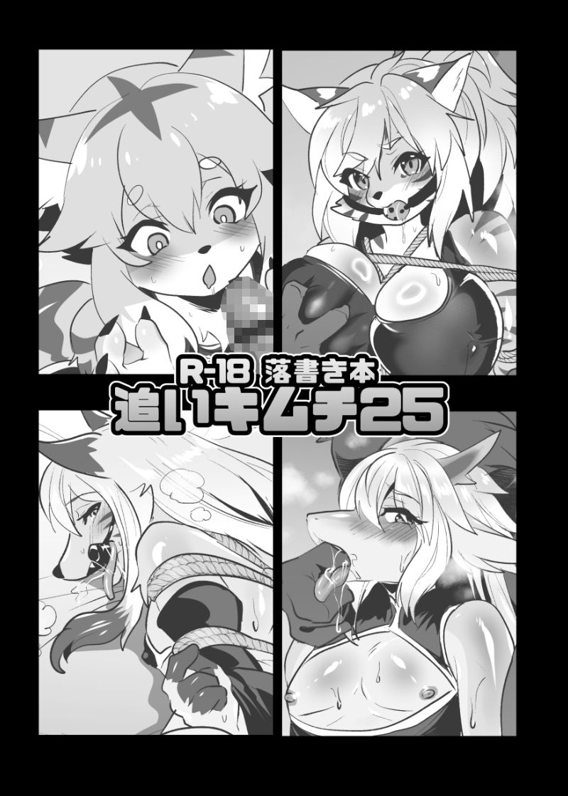 C107 新刊2冊＋無配本セット - サンプル画像 6