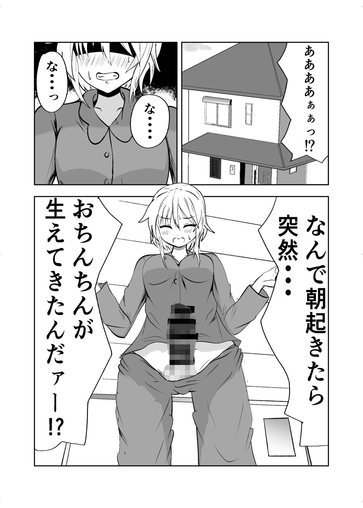 お姉ちゃんにおちんちんが生えちゃった！？ - サンプル画像 2