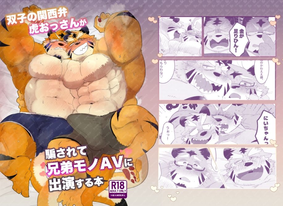 双子の関西弁虎おっさんが騙されてAV出演する本 - サンプル画像 1