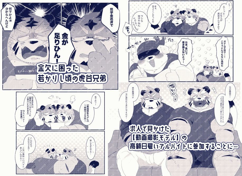双子の関西弁虎おっさんが騙されてAV出演する本 - サンプル画像 2