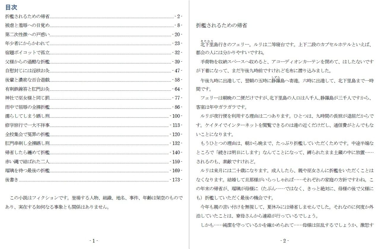 鞭とお灸と晒し刑 - サンプル画像 1