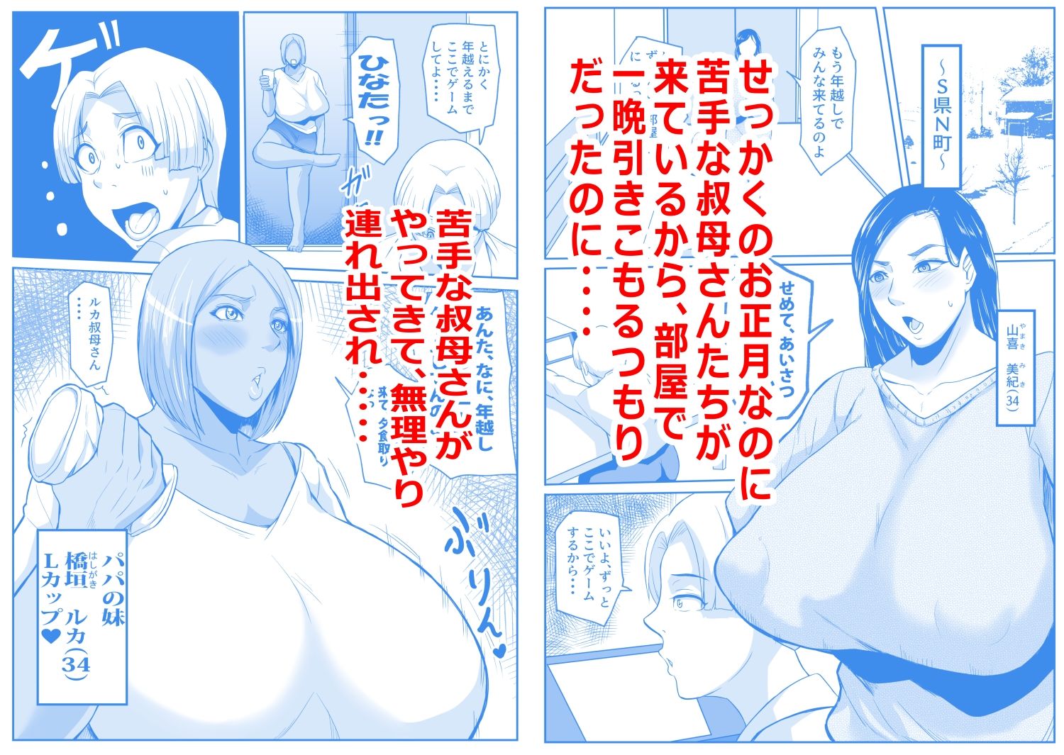 僕の叔母とママとのヤリ正月 - サンプル画像 1