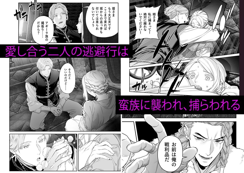 蛮族の花嫁 - サンプル画像 1