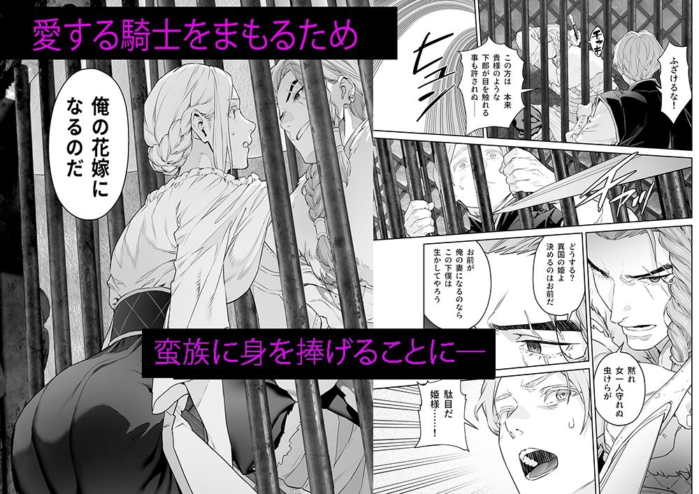 蛮族の花嫁 - サンプル画像 2