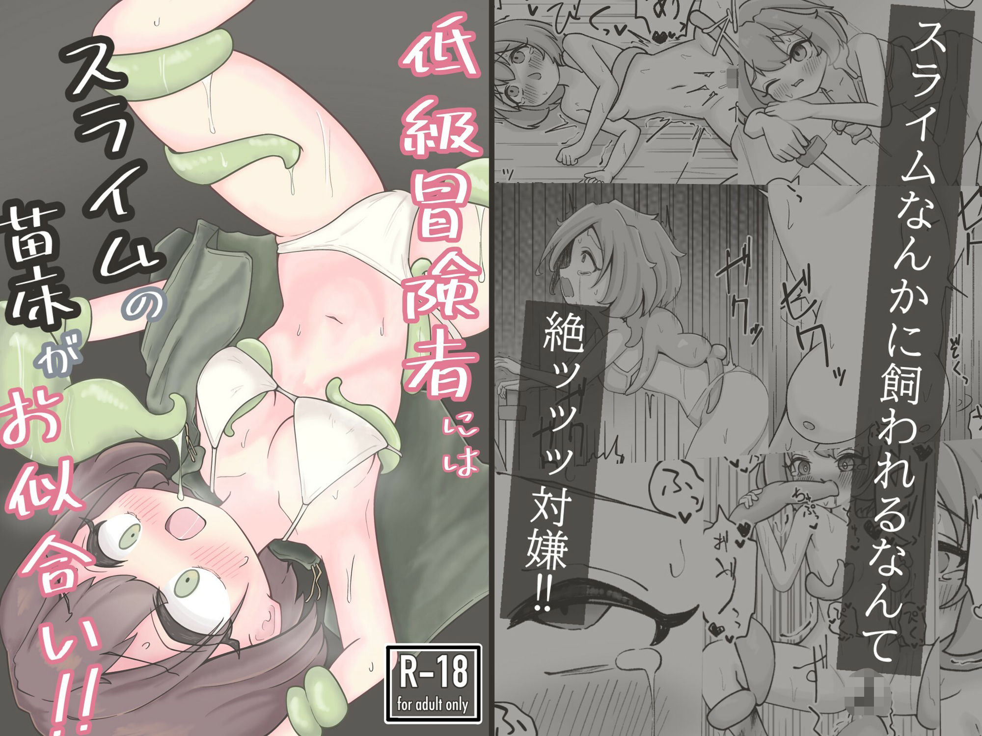 低級冒険者にはスライムの苗床がお似合い！！ - サンプル画像 1