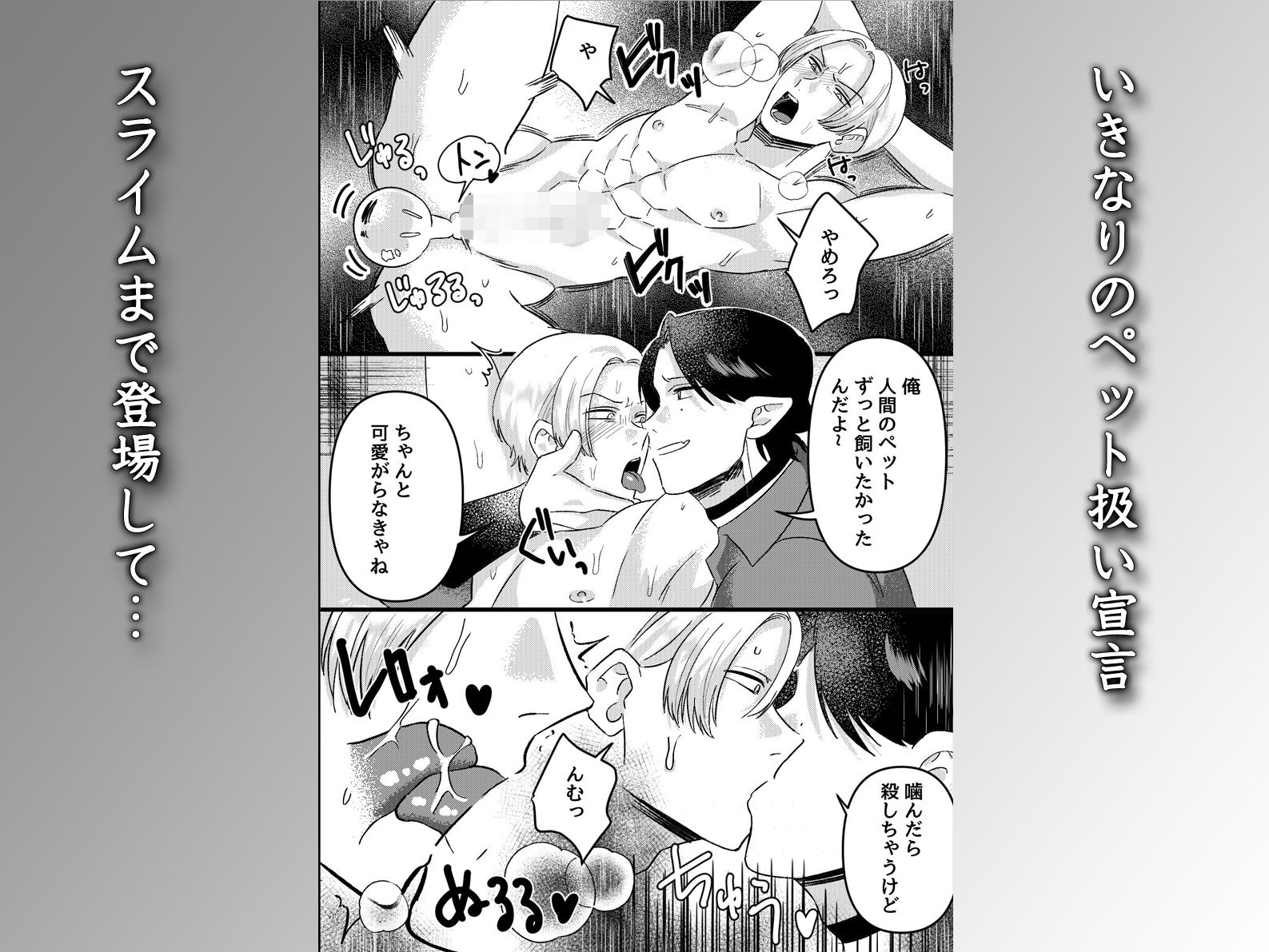 魔族双子スライム姦ペット調教 〜異世界貴族アナル二輪挿しメスイキ連続絶頂〜 - サンプル画像 5