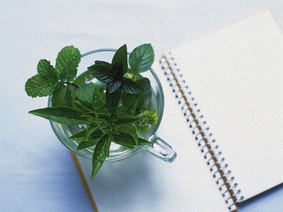 おむつ現役JK作家の最期