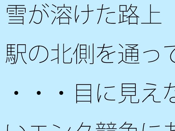 雪が溶けた路上  駅の北側を通って・・・・目に見えないエンタ競争にあっぷあっぷしながら