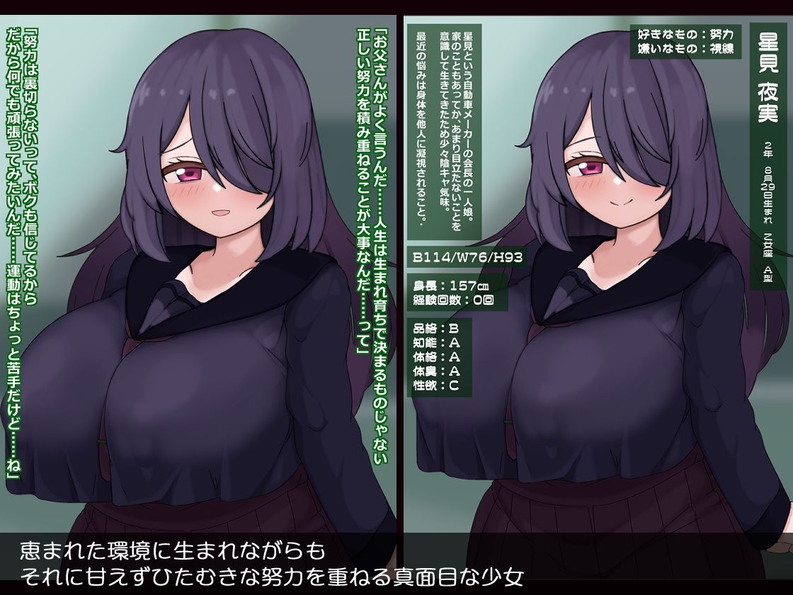 人生終了真面目に生きてきたのに…誘拐・調教・精神崩壊 - サンプル画像 1