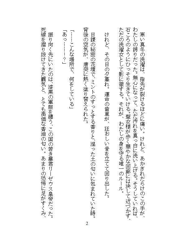 完璧に洗わなきゃ気が済まない地味な洗濯女ですが、皇帝に一晩で48回も連続絶頂を刻まれ、魔性の皇后に磨き上げられました。 - サンプル画像 2