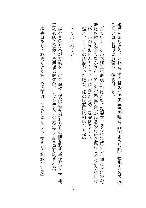 完璧に洗わなきゃ気が済まない地味な洗濯女ですが、皇帝に一晩で48回も連続絶頂を刻まれ、魔性の皇后に磨き上げられました。 - サンプル画像 3