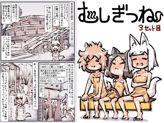 むしぎつね3セット目