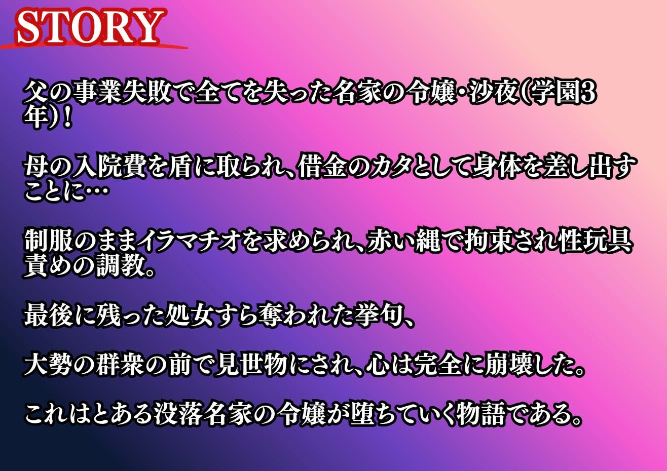 没落令嬢の代償 〜借金のカタは私の身体〜【鬼畜・処女喪失・調教・公開SEX】 - サンプル画像 6