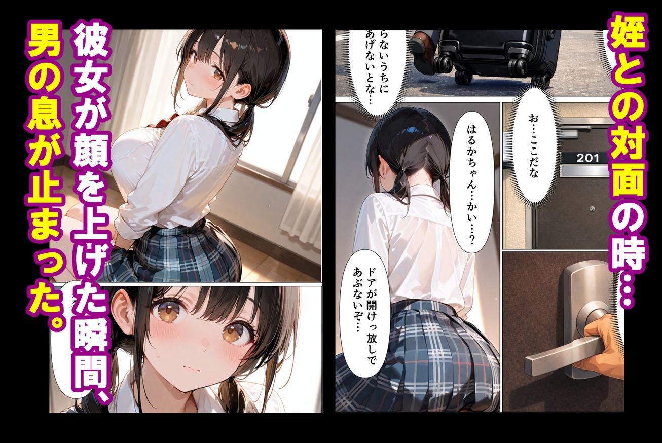 実姉を奪い損ねた男が、姉にそっくりな姪に、執着の精子をどろどろと注ぎ込む話 - サンプル画像 4